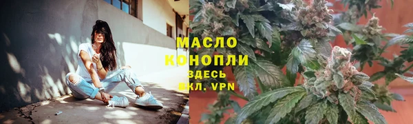гидра Мегион