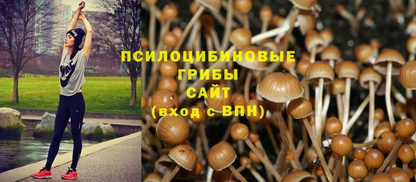 гашишное масло Медногорск