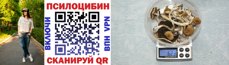 наркошоп  Новое Девяткино  Псилоцибиновые грибы прущие грибы 